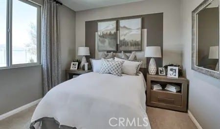 bedroom featuring carpet floors