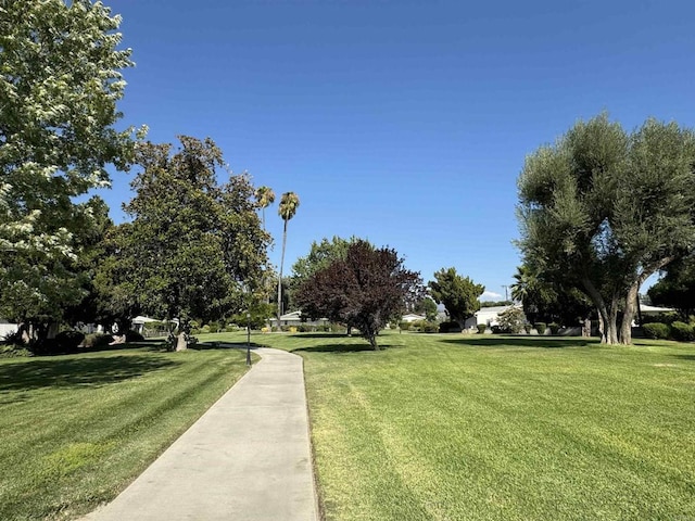 surrounding community featuring a lawn