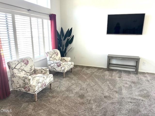 sitting room with a wealth of natural light and carpet floors