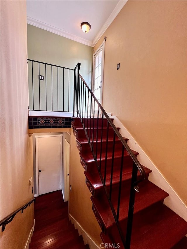 staircase featuring hardwood / wood-style floors and ornamental molding