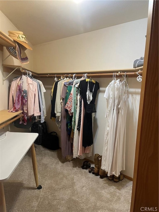 walk in closet with carpet