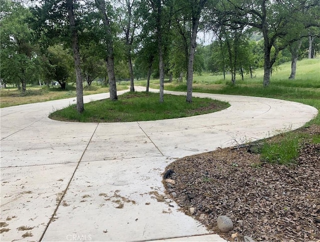 surrounding community featuring curved driveway