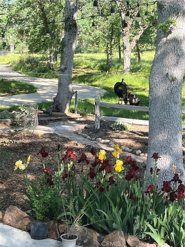 view of home's community