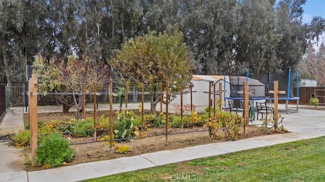 view of community with a trampoline, a patio area, and a storage unit