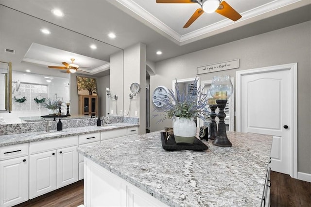 kitchen with white cabinetry, dark hardwood / wood-style floors, a tray ceiling, a kitchen island, and crown molding