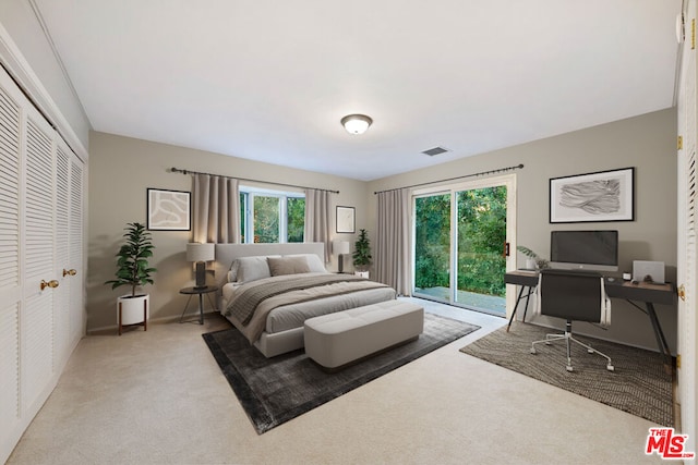 carpeted bedroom with a closet and access to exterior