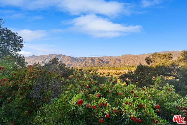 view of mountain feature