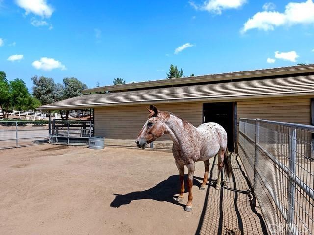 view of horse barn