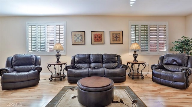 living room with light hardwood / wood-style floors