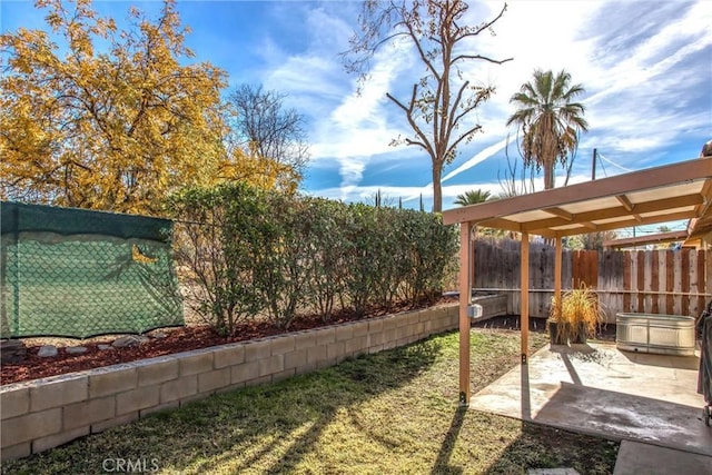 view of yard with a patio area