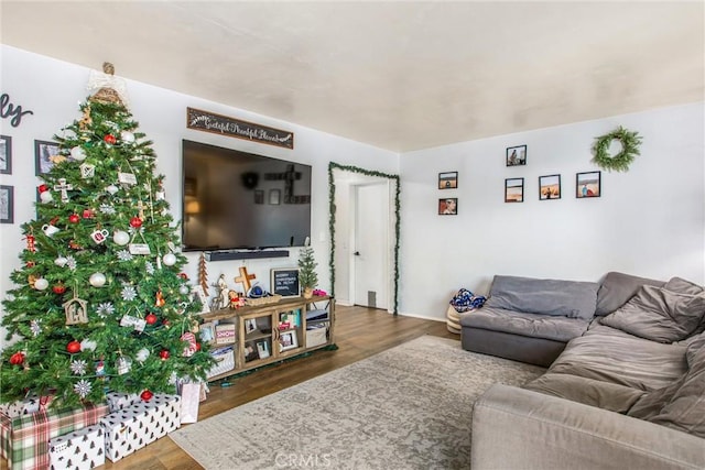 living room featuring dark wood-type flooring