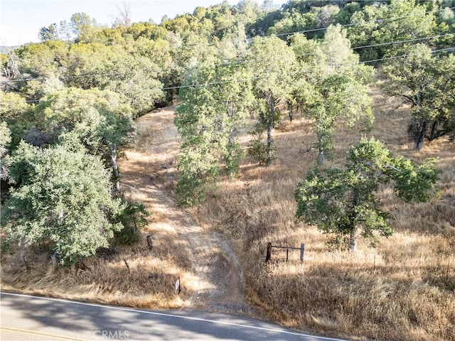 Listing photo 2 for 5021 W Whitlock Rd, Mariposa CA 95338