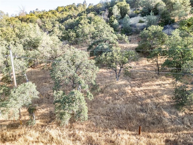 Listing photo 3 for 5021 W Whitlock Rd, Mariposa CA 95338