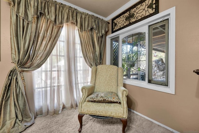 sitting room with carpet floors and crown molding