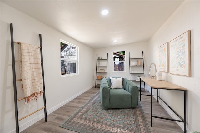 living area featuring hardwood / wood-style floors