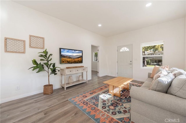 living room featuring wood-type flooring