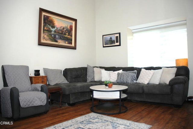 living room featuring dark hardwood / wood-style flooring