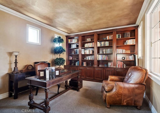 carpeted office with ornamental molding