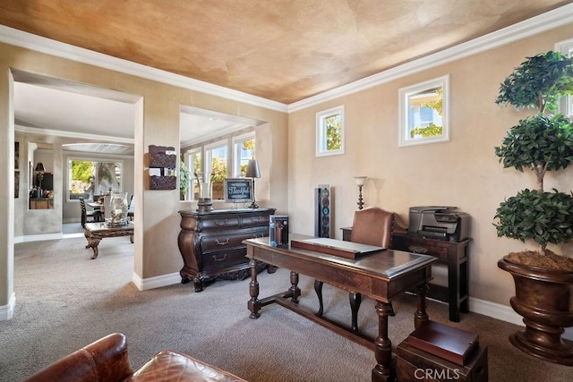 miscellaneous room with light colored carpet and ornamental molding