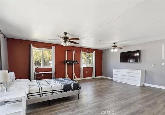 bedroom featuring ceiling fan, multiple windows, and wood-type flooring