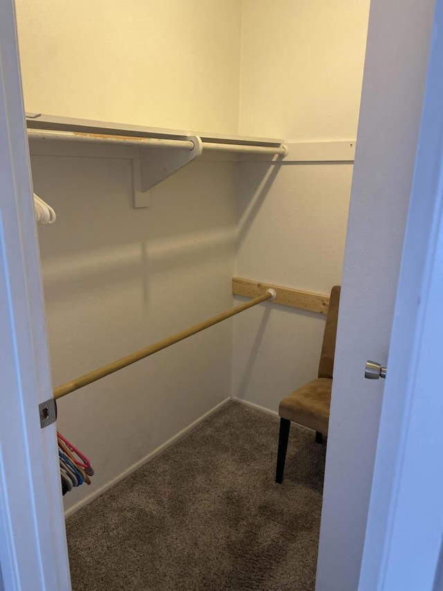 walk in closet with carpet