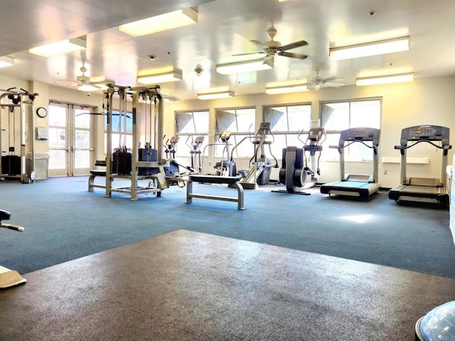 gym featuring carpet floors and ceiling fan