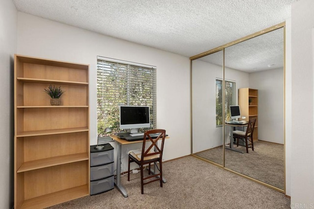 office area featuring a textured ceiling and carpet flooring