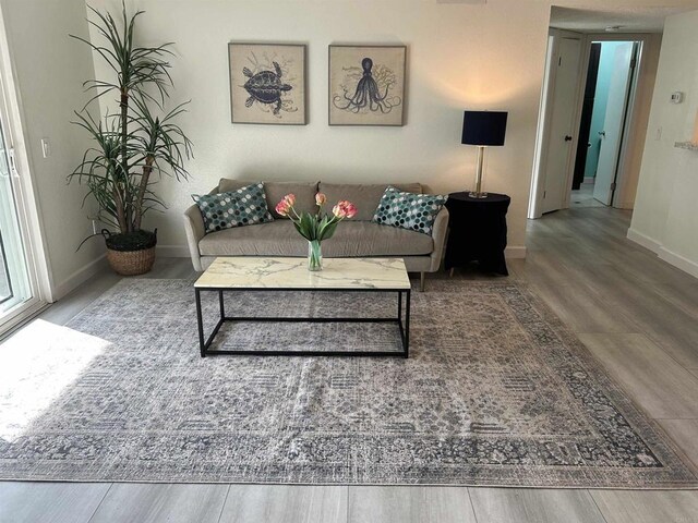 living room with wood-type flooring