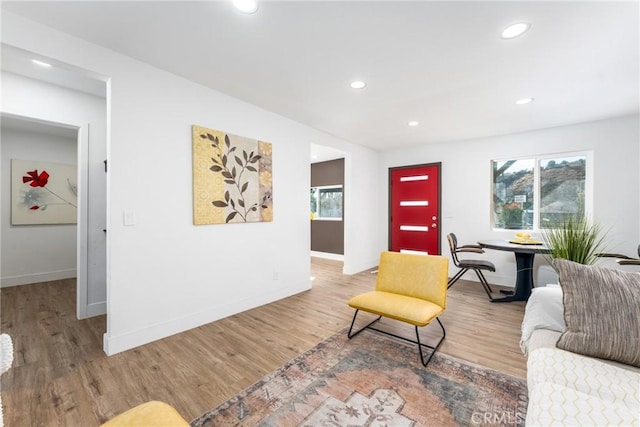 living room featuring hardwood / wood-style flooring