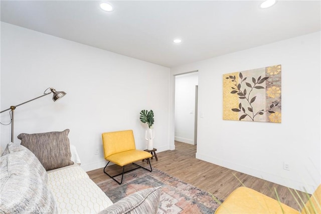 living area featuring wood-type flooring