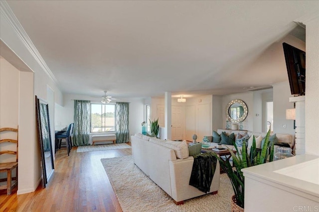 living room with crown molding, ceiling fan, and light hardwood / wood-style floors