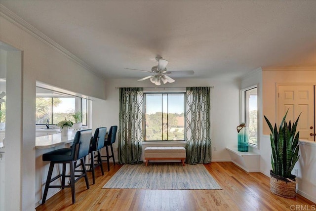 living area featuring crown molding, ceiling fan, and light wood-type flooring