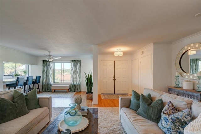 living room with crown molding, light hardwood / wood-style flooring, and ceiling fan