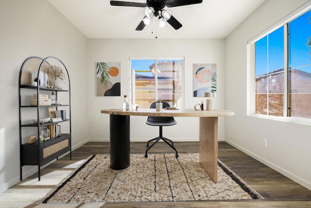 office space featuring ceiling fan, a wealth of natural light, and hardwood / wood-style floors