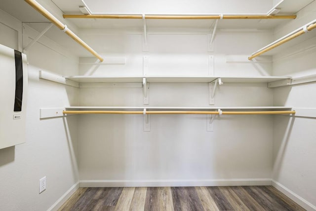 spacious closet featuring dark wood-type flooring