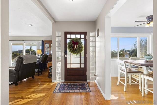 entrance foyer featuring hardwood / wood-style flooring and ceiling fan