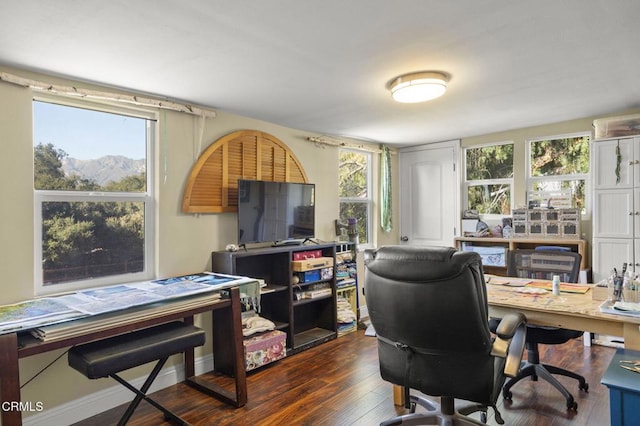 home office with dark hardwood / wood-style flooring