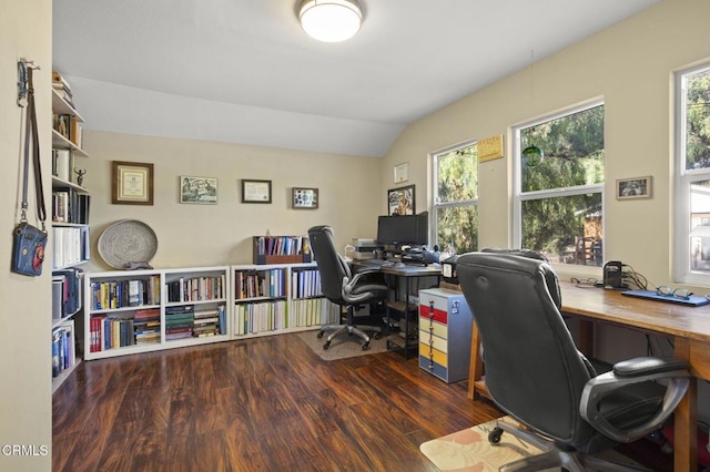 office space featuring lofted ceiling and dark hardwood / wood-style flooring