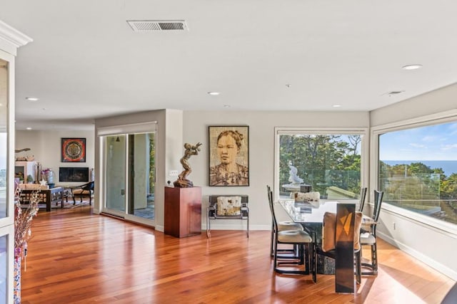 dining area featuring a wealth of natural light and hardwood / wood-style floors