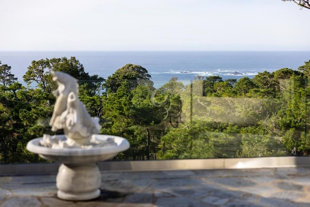 view of water feature