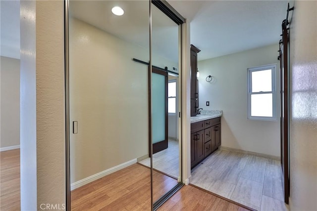 bathroom with hardwood / wood-style floors and vanity