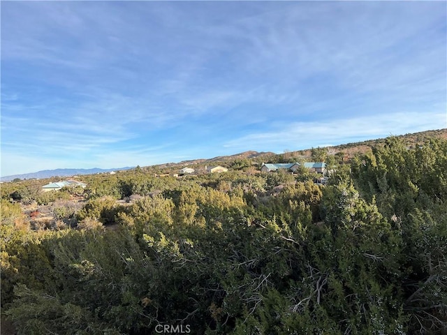 1755 Sunnyslope Rd, Pinon Hills, CA 92397 - photo 40