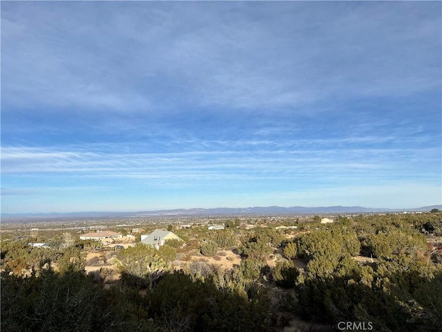 1755 Sunnyslope Rd, Pinon Hills, CA 92397 - photo 39
