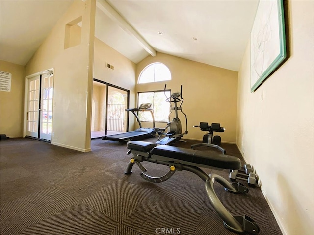 exercise room featuring high vaulted ceiling