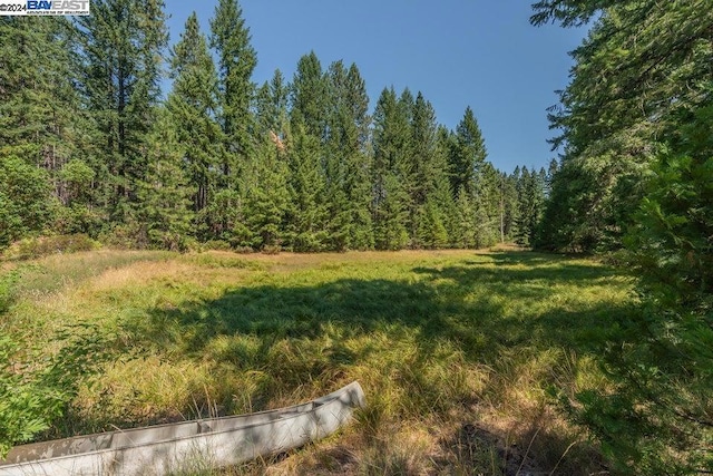 6900 Line Gulch Rd, CA, 95595 land for sale