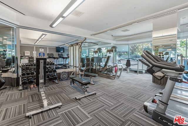 gym with carpet flooring