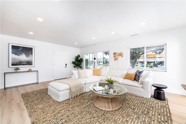 living room featuring light hardwood / wood-style flooring