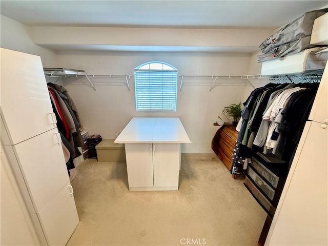 spacious closet with light carpet