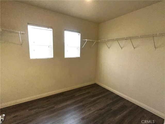 walk in closet featuring dark wood-type flooring