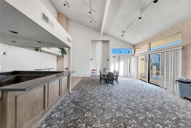 kitchen featuring vaulted ceiling, track lighting, and a textured ceiling